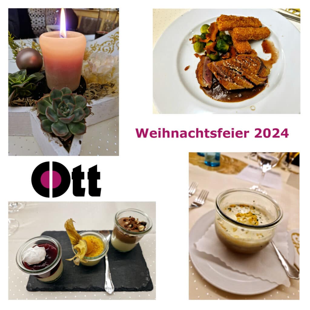 Jahresabschluss 2024 - Weihnachtsfeier